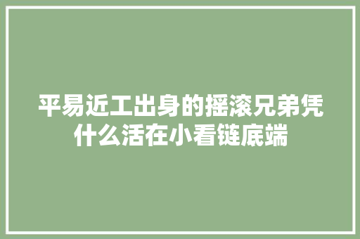 平易近工出身的摇滚兄弟凭什么活在小看链底端