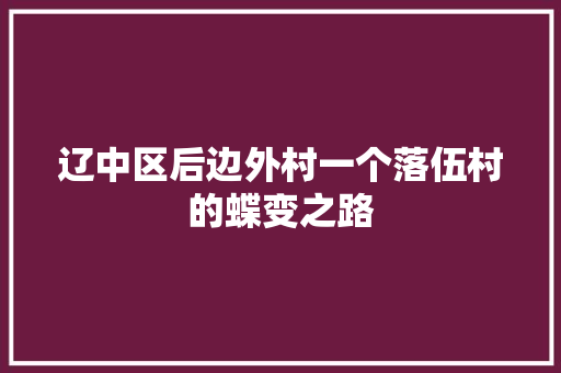 辽中区后边外村一个落伍村的蝶变之路