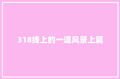 318线上的一道风景上篇