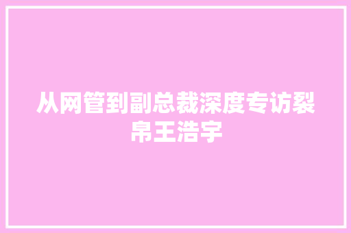 从网管到副总裁深度专访裂帛王浩宇