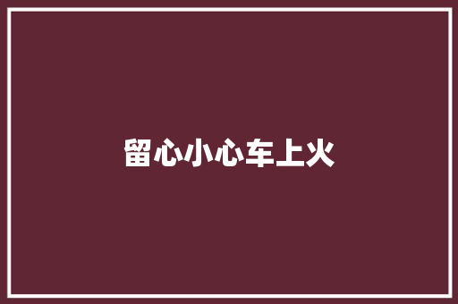 留心小心车上火