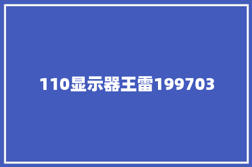 110显示器王雷199703
