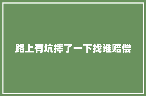 路上有坑摔了一下找谁赔偿
