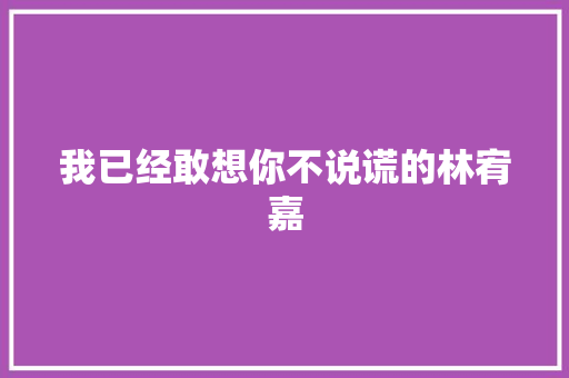 我已经敢想你不说谎的林宥嘉
