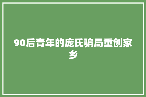 90后青年的庞氏骗局重创家乡