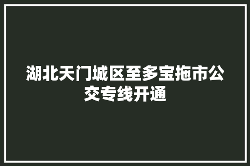 湖北天门城区至多宝拖市公交专线开通