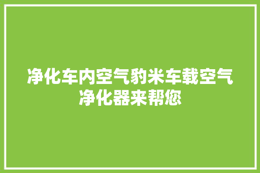 净化车内空气豹米车载空气净化器来帮您