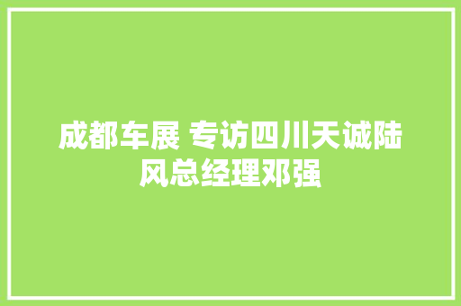 成都车展 专访四川天诚陆风总经理邓强 汽车知识
