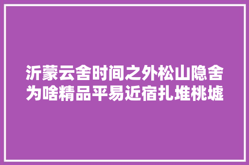 沂蒙云舍时间之外松山隐舍为啥精品平易近宿扎堆桃墟