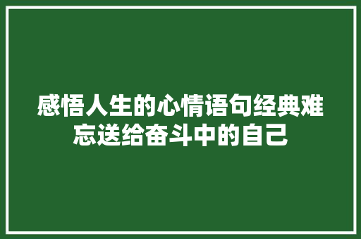 感悟人生的心情语句经典难忘送给奋斗中的自己