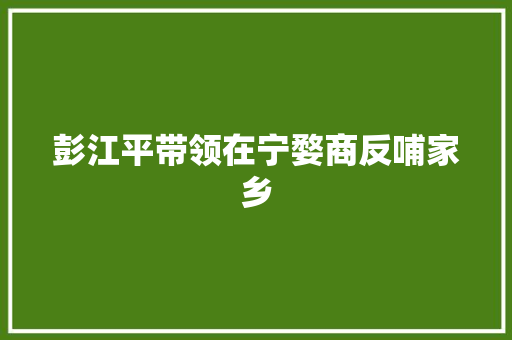 彭江平带领在宁婺商反哺家乡