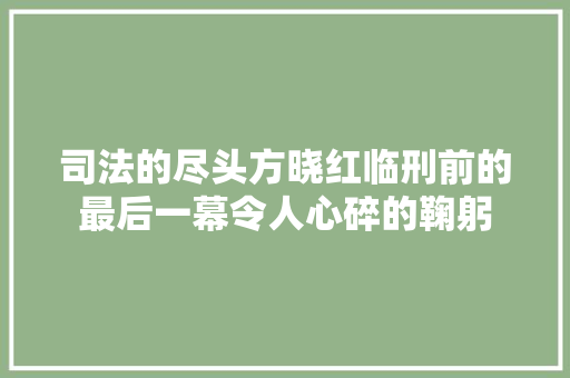 司法的尽头方晓红临刑前的最后一幕令人心碎的鞠躬