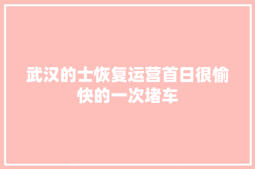 武汉的士恢复运营首日很愉快的一次堵车