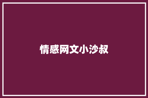 情感网文小沙叔
