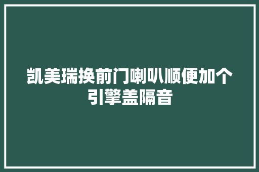 凯美瑞换前门喇叭顺便加个引擎盖隔音