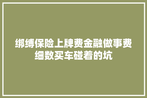绑缚保险上牌费金融做事费细数买车碰着的坑