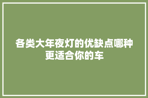 各类大年夜灯的优缺点哪种更适合你的车