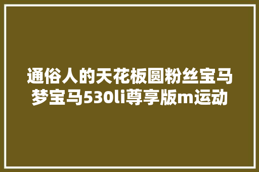 通俗人的天花板圆粉丝宝马梦宝马530li尊享版m运动