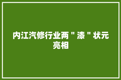 内江汽修行业两＂漆＂状元亮相