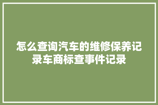 怎么查询汽车的维修保养记录车商标查事件记录