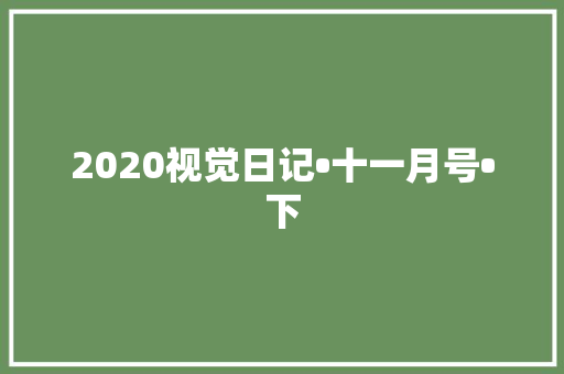 2020视觉日记•十一月号•下