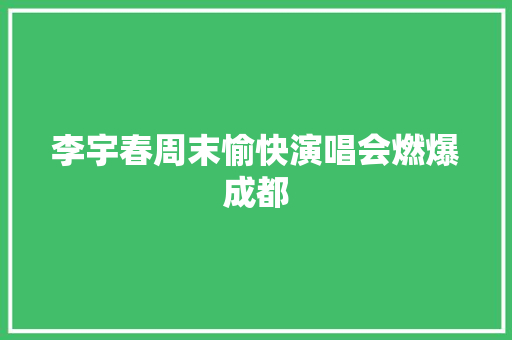 李宇春周末愉快演唱会燃爆成都