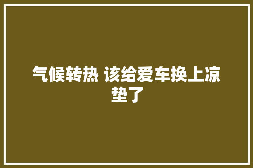 气候转热 该给爱车换上凉垫了