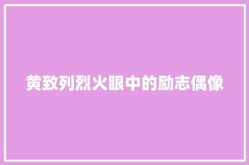 黄致列烈火眼中的励志偶像