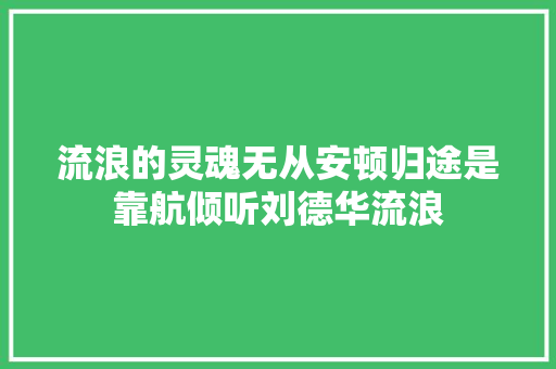 流浪的灵魂无从安顿归途是靠航倾听刘德华流浪
