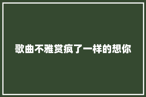 歌曲不雅赏疯了一样的想你