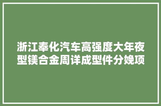 浙江奉化汽车高强度大年夜型镁合金周详成型件分娩项目可研申报