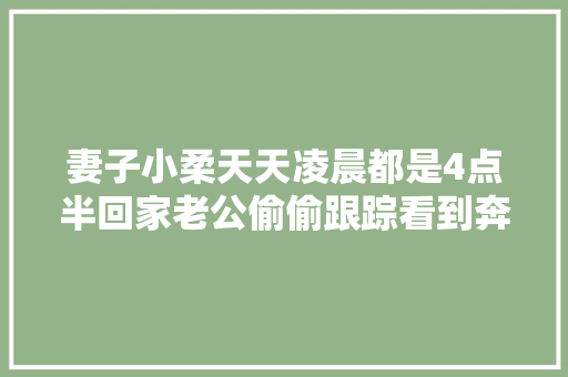 妻子小柔天天凌晨都是4点半回家老公偷偷跟踪看到奔溃了