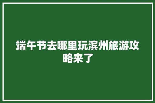 端午节去哪里玩滨州旅游攻略来了