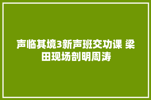 声临其境3新声班交功课 梁田现场剖明周涛