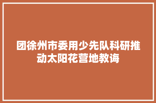 团徐州市委用少先队科研推动太阳花营地教诲