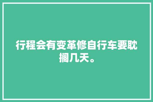 行程会有变革修自行车要耽搁几天。