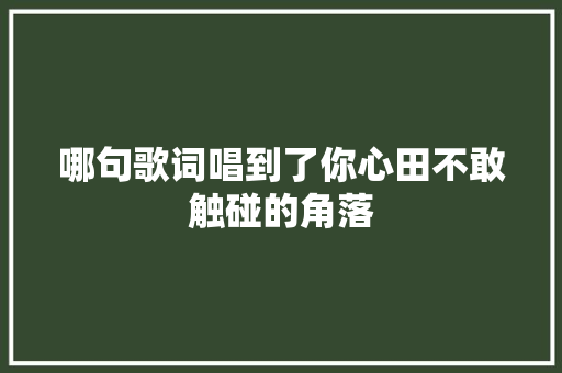 哪句歌词唱到了你心田不敢触碰的角落