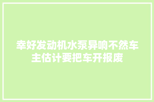 幸好发动机水泵异响不然车主估计要把车开报废