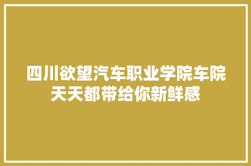 四川欲望汽车职业学院车院天天都带给你新鲜感