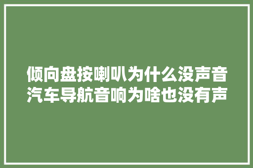 倾向盘按喇叭为什么没声音汽车导航音响为啥也没有声音