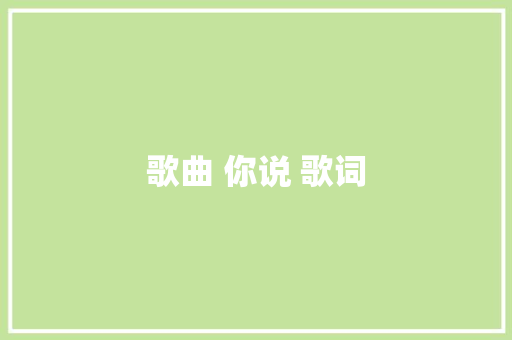 歌曲 你说 歌词