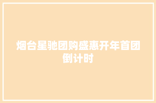 烟台星驰团购盛惠开年首团倒计时