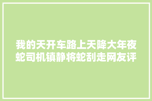 我的天开车路上天降大年夜蛇司机镇静将蛇刮走网友评论笑去世