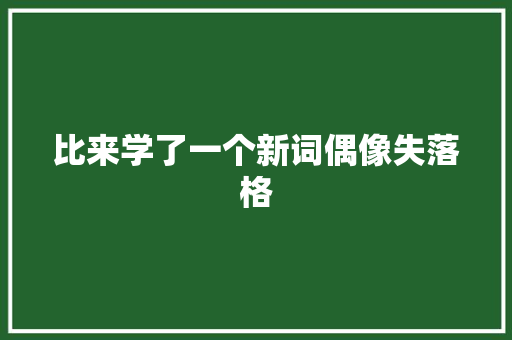 比来学了一个新词偶像失落格