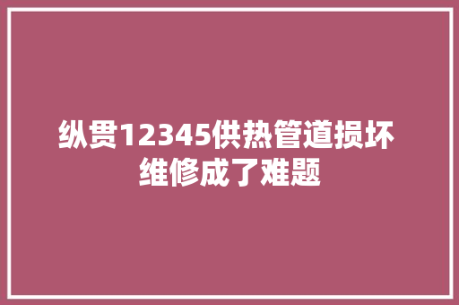 纵贯12345供热管道损坏 维修成了难题