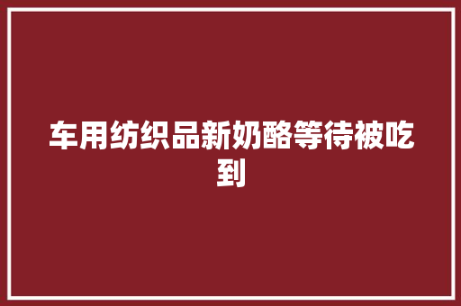车用纺织品新奶酪等待被吃到