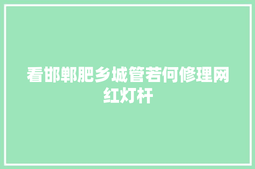 看邯郸肥乡城管若何修理网红灯杆