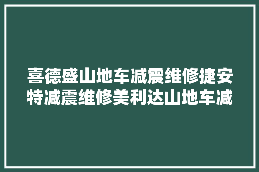 喜德盛山地车减震维修捷安特减震维修美利达山地车减震维修