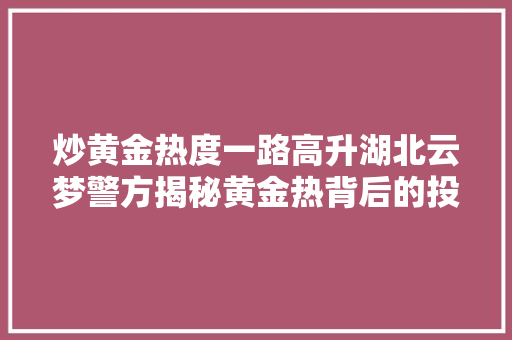 炒黄金热度一路高升湖北云梦警方揭秘黄金热背后的投资骗局