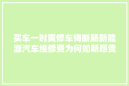 买车一时爽修车悔断肠新能源汽车维修费为何如斯昂贵